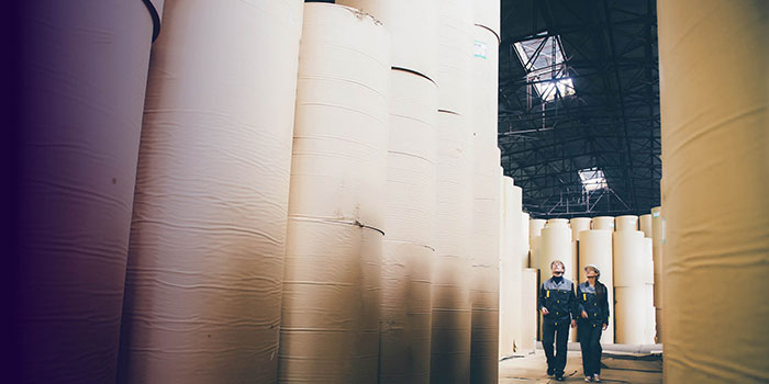 OTORIO RAM² for Pulp & Paper
